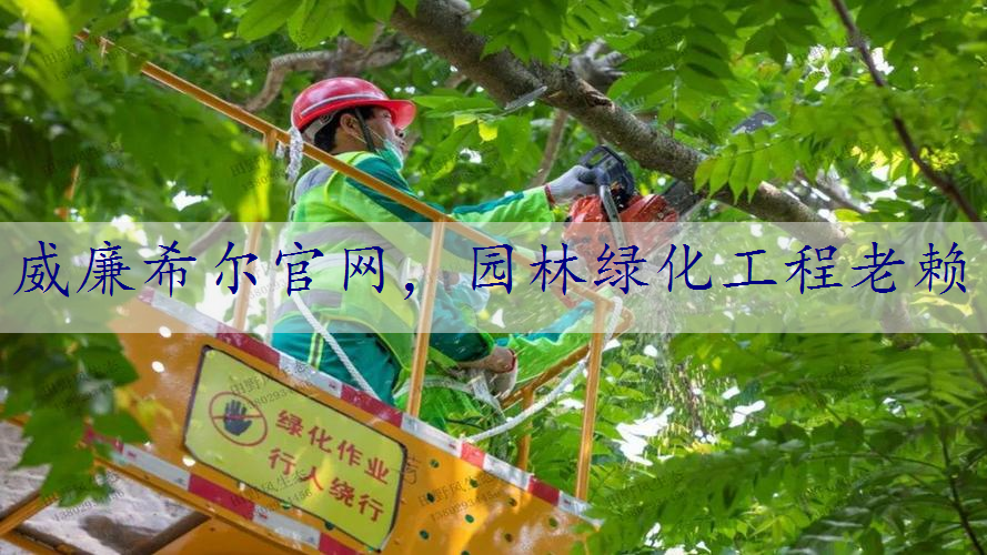 园林绿化工程老赖
