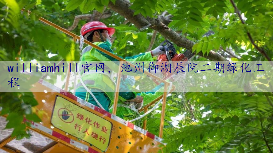池州御湖辰院二期绿化工程